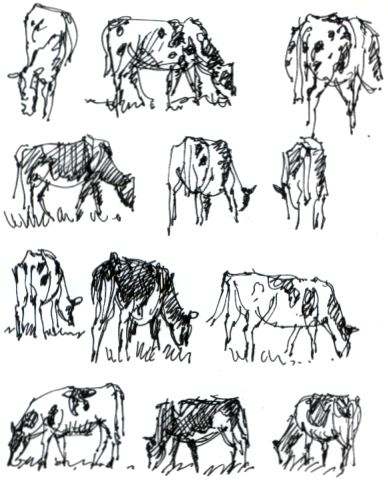 Pen sketches of Friesians