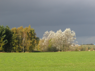 Millfield Lagoons, Calder Valley, Wakefield.