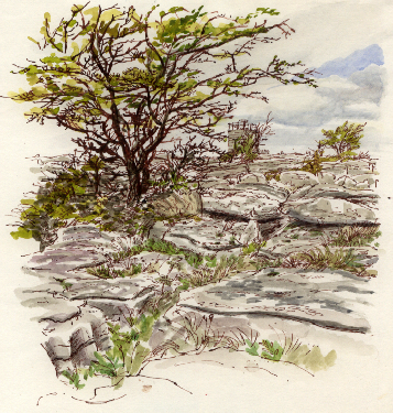 Limestone pavement at Hampsfell Hospice