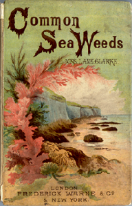 Common Sea Weeds