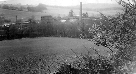 Denby Grange from Stony Cliffe wood