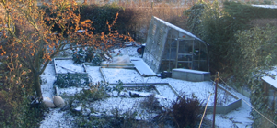 garden in the snow