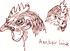 Amber Link hen