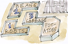 crop rotation