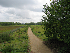 Barlow Common