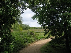 Barlow Common