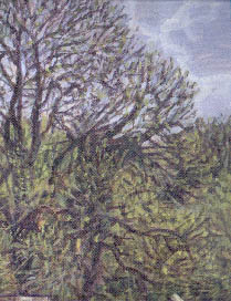 'Bevan's Field', May 1996