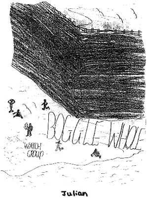 Boggle Whole