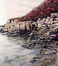 Maine coast,  Nancy Patterson