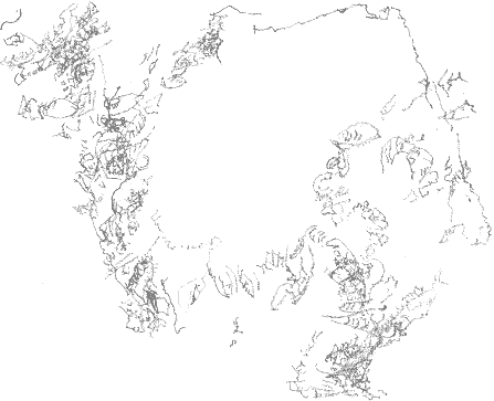 fossiliferous limestone