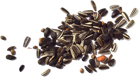 sunflower seeds