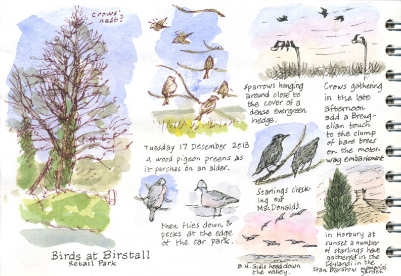 Birds at Birstall