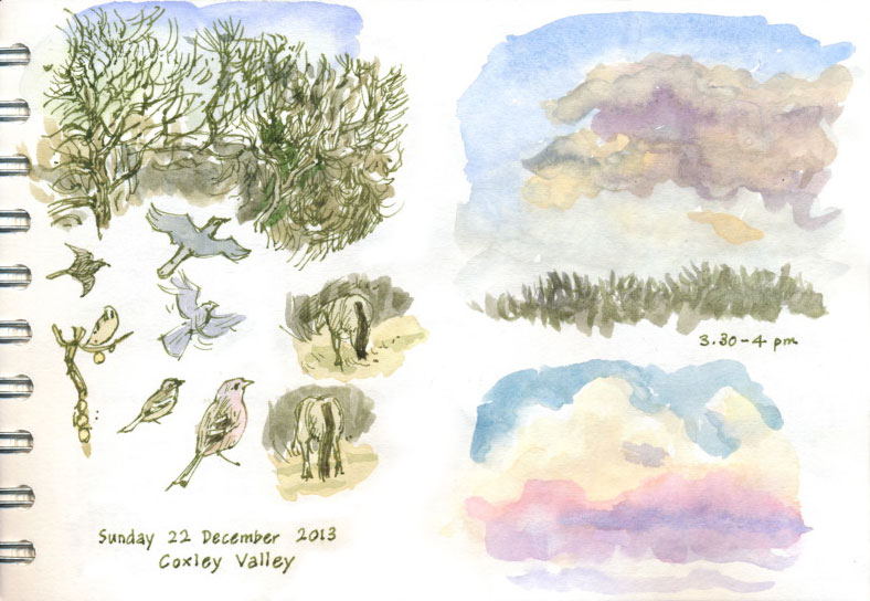 clouds and garden birds