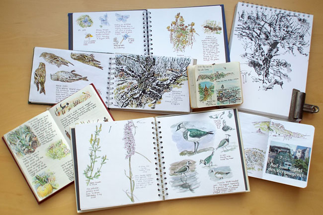 sketchbooks