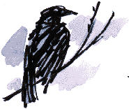 crow