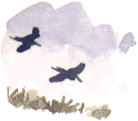 herons