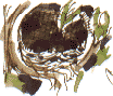 the teapot nest