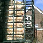 fat cage