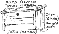 sparrow nest box