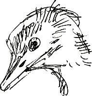 emu