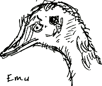 emu