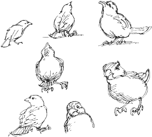 studies