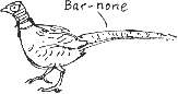 Bar-none