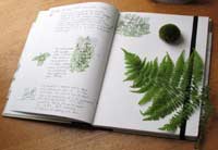 nature journal