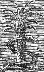 Phoenician serpent
