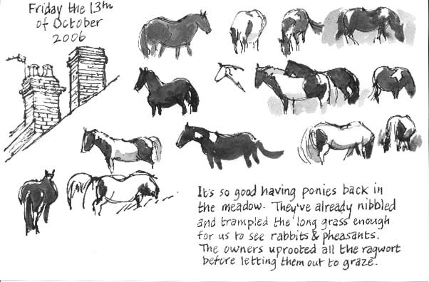 ponies