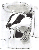 badger