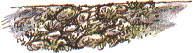 wall moss and pebbles