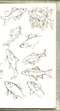 goldfish