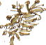 procumbent pearlwort