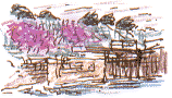 rosebay willowherb at the lock