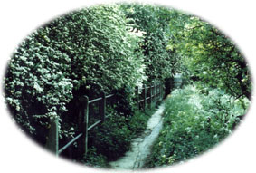 the footpath