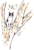 cat in ash tree