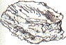 white mineral