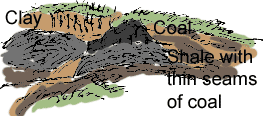 coal seam