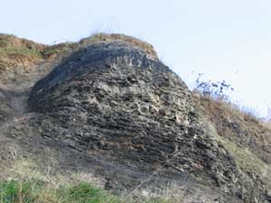 Flanshaw quarry face