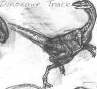 coelophysis