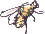 ginger bumblebee