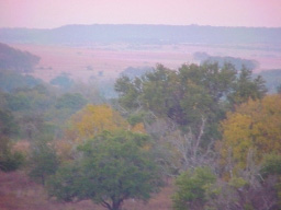early morning mist, the Lair, Texas