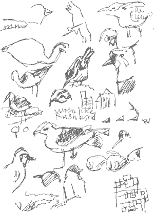 birds