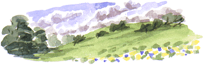 Ledsham Vale