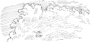 cumulus cloud