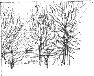 trees