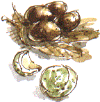 conkers