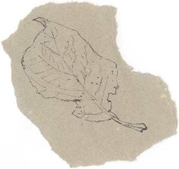Leaf by Janet Baker