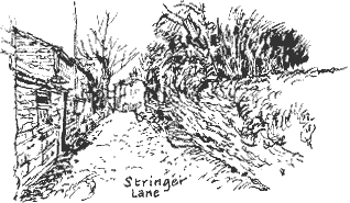 Stringer Lane